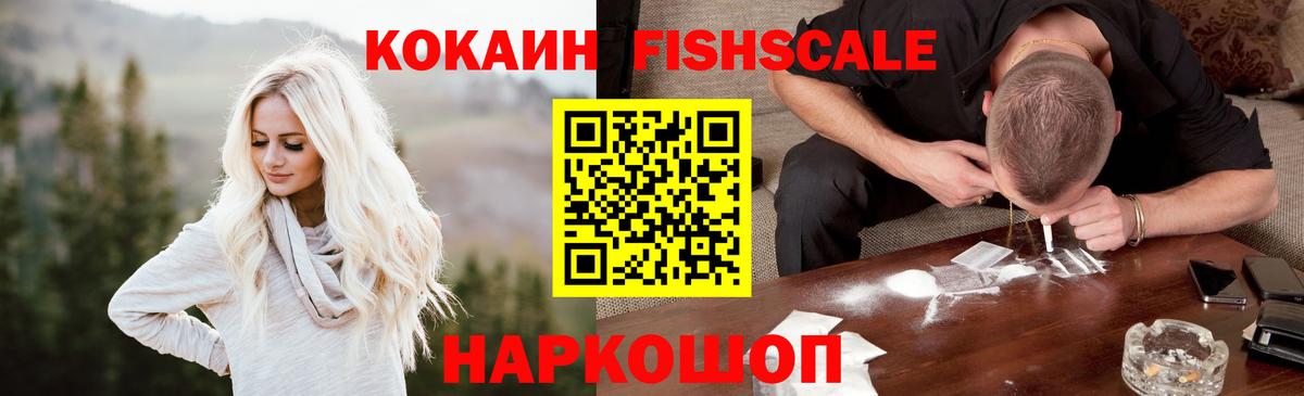 Вичуга  КОКАИН Fish Scale  Вход с VPN 