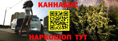 шишки Кимры