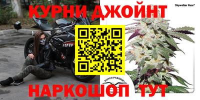 гидропоника Кинель