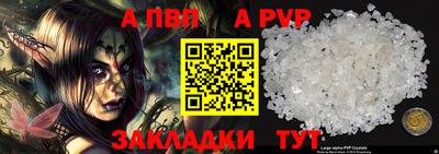 шишки Кимры