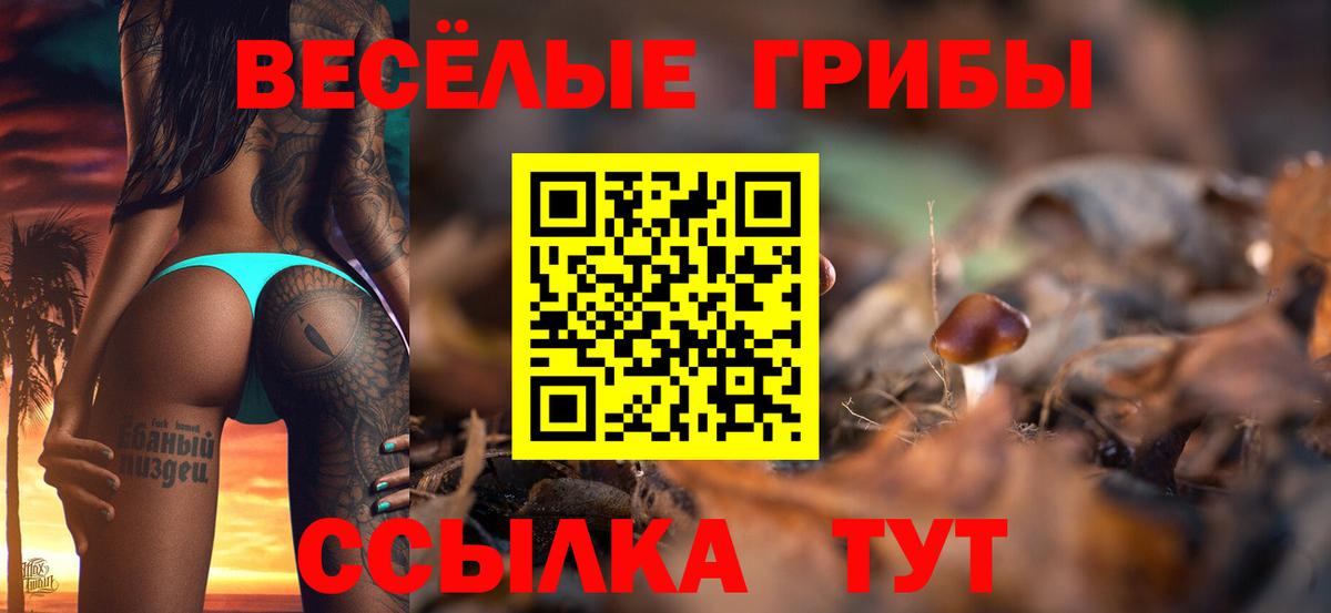 Вичуга  Галлюциногенные грибы Magic Shrooms  Галлюциногенные грибы MAGIC MUSHROOMS  Вход с VPN 